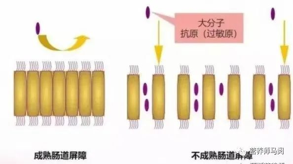 20230420130447_47656